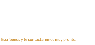 ¿QUIERES SABER MÁS ACERCA DE LIGHTS ON?