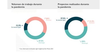 Light Insights