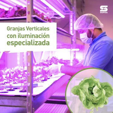 Imagen cortesía de SUPRA Desarrollos Tecnológicos